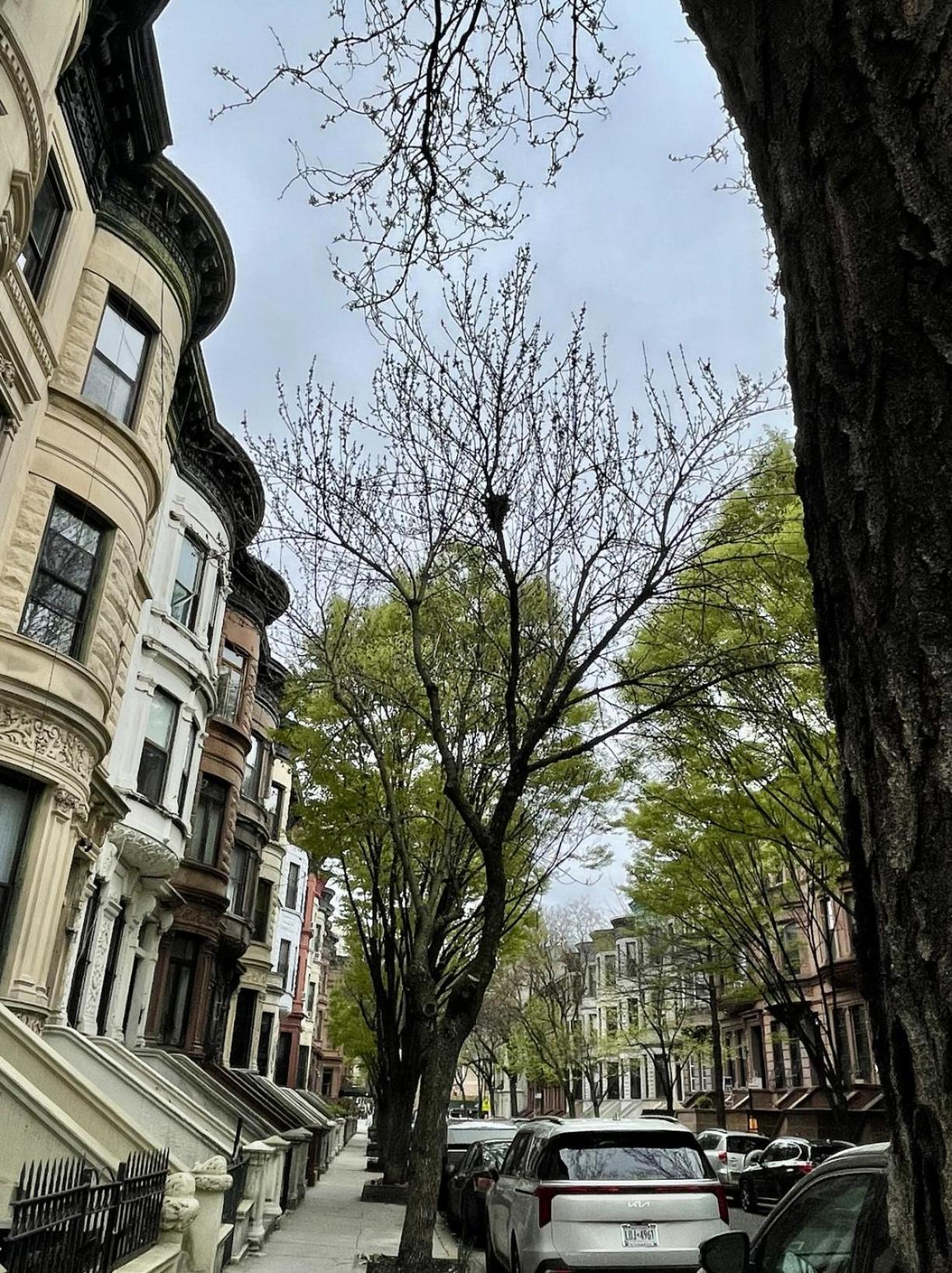 Nyc Townhouse Apartment Nueva York Exterior foto